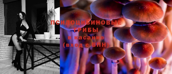 ешки Лиски