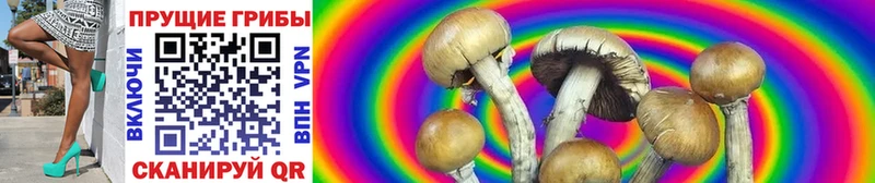 Галлюциногенные грибы MAGIC MUSHROOMS  как найти наркотики  shop клад  Сортавала 